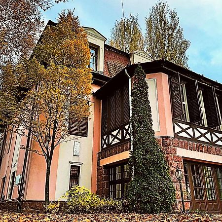 Party Villa Holiday Rent Balatonföldvár מראה חיצוני תמונה