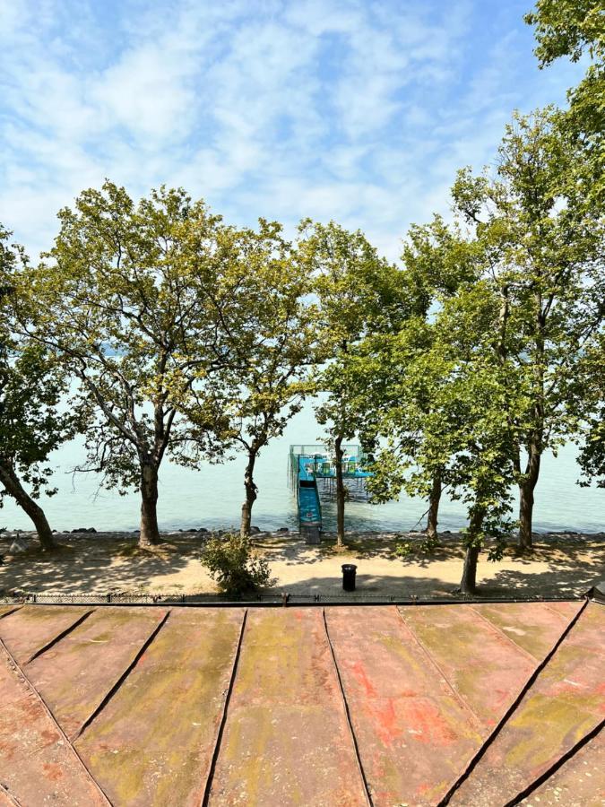 Party Villa Holiday Rent Balatonföldvár מראה חיצוני תמונה