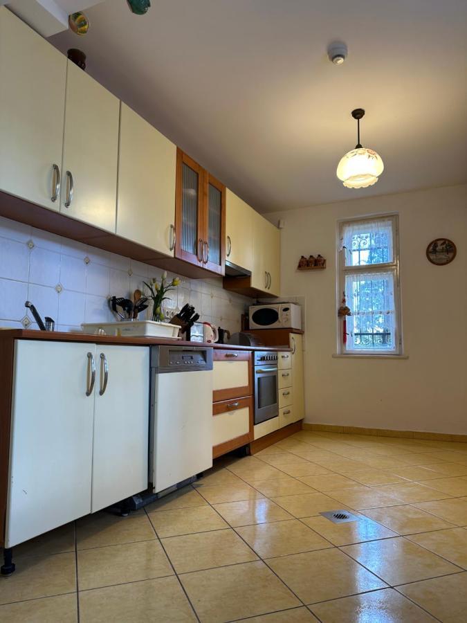 Party Villa Holiday Rent Balatonföldvár מראה חיצוני תמונה