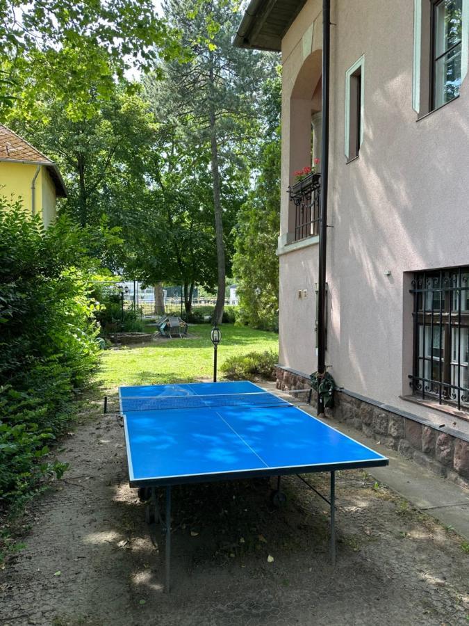 Party Villa Holiday Rent Balatonföldvár מראה חיצוני תמונה