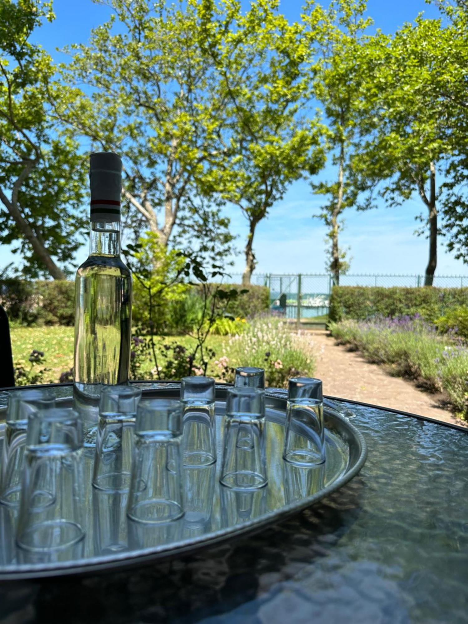 Party Villa Holiday Rent Balatonföldvár מראה חיצוני תמונה